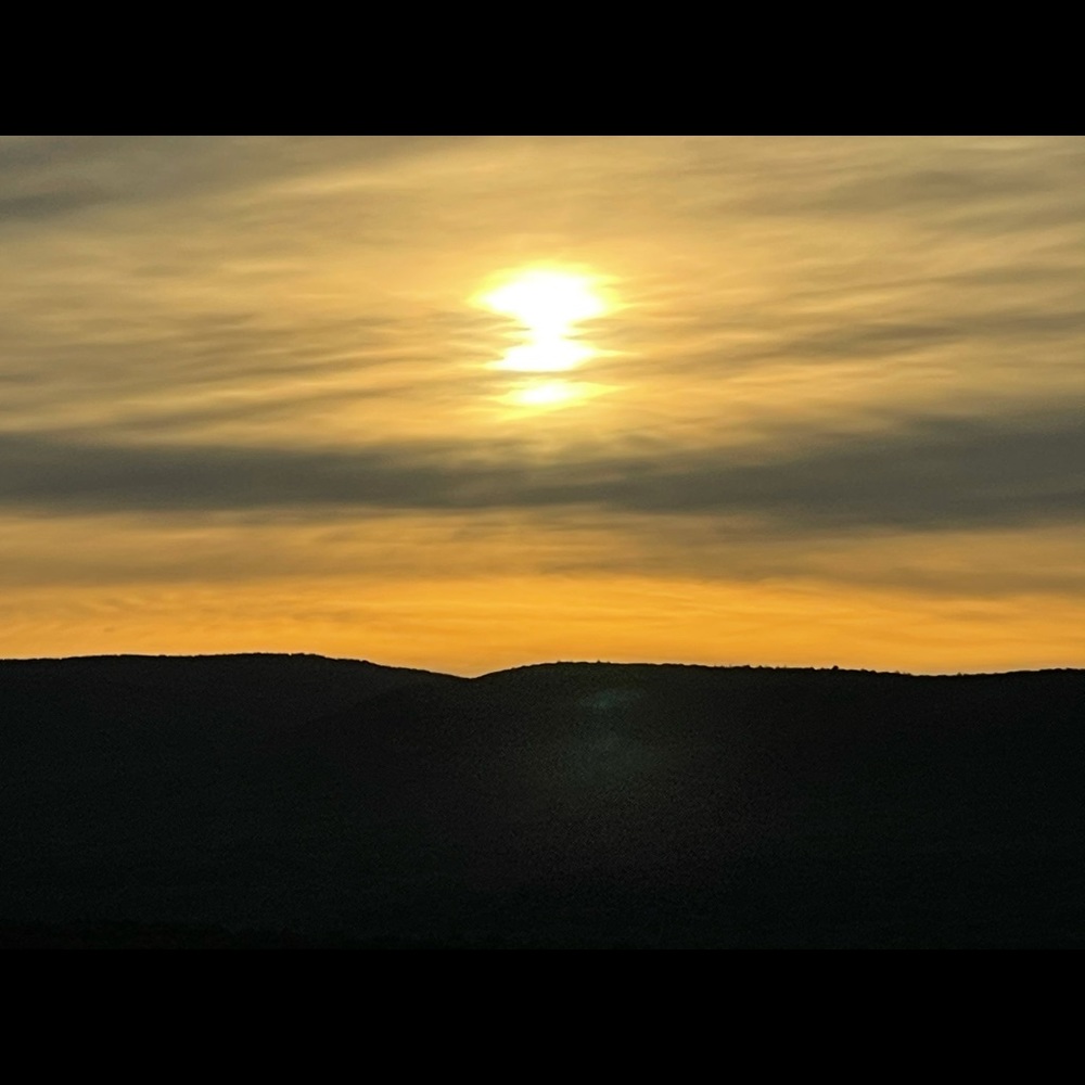 Meet your Posher, Jenn